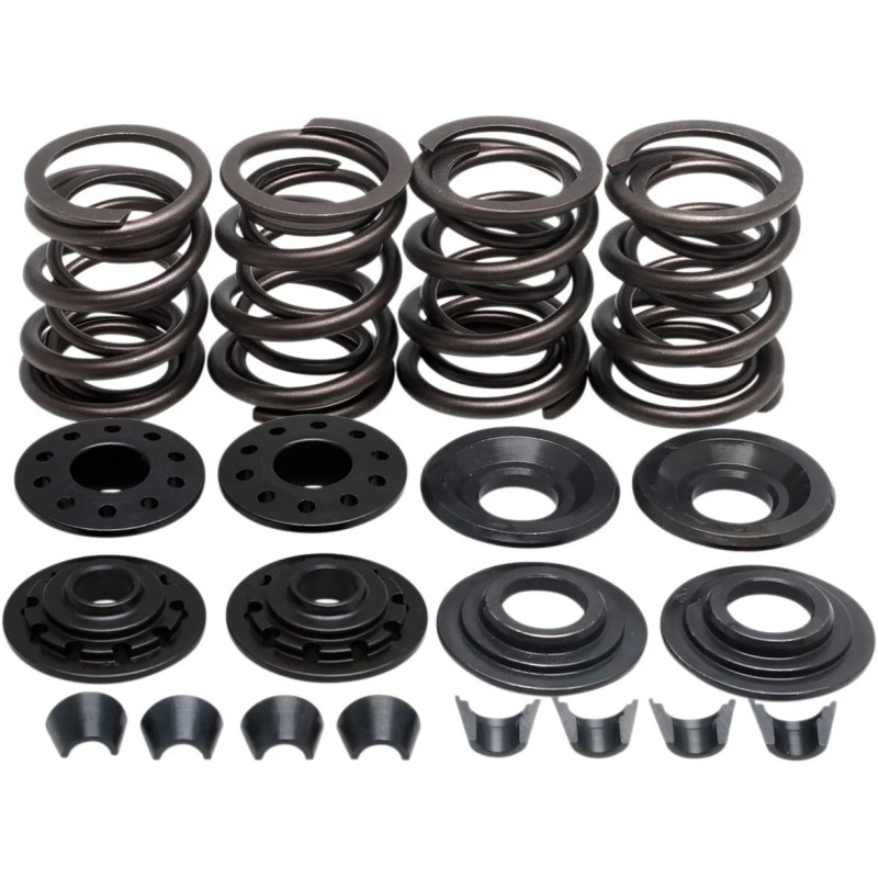 Racing Valve Spring Kit