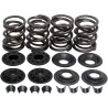 Racing Valve Spring Kit