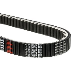 MAX KVR CVT Belt