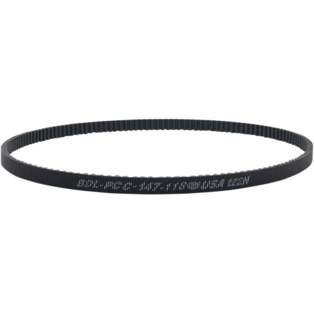Rear Drive Belt