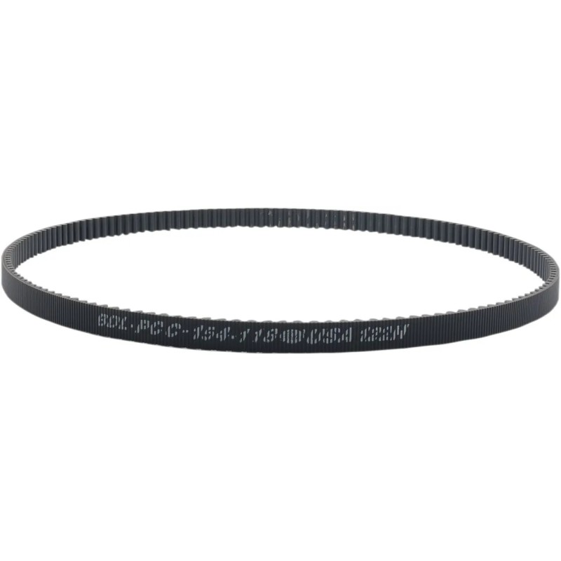 Rear Drive Belt