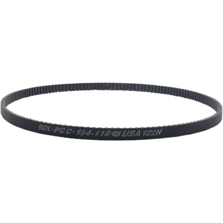 Rear Drive Belt