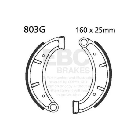 Brake Shoe