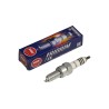 Iridium IX Spark Plug