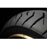 Trailmax Meridian Tire