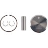 Piston Kit for 2 Stroke
