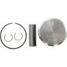 Piston Kit for 2 Stroke