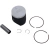 Piston Kit for 2 Stroke