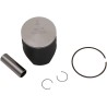 Piston Kit for 2 Stroke