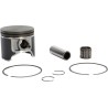 Piston Kit
