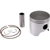 Piston Kit for 2 Stroke