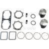 Piston Kit with Gaskets