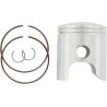 Piston Kit for 2 Stroke