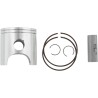 Piston Kit for 2 Stroke