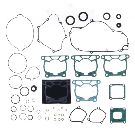 Engine Oil Seal