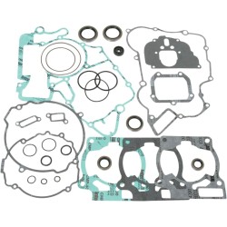 Complete Gasket and Oil Seal Kit
