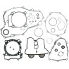 Complete Gasket and Oil Seal Kit
