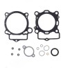 Top End Gasket kit