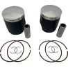 Piston Kit for 2 Stroke