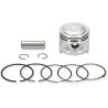 Piston Kit for 4-Stroke