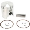 Piston Kit for 2 Stroke
