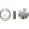 Piston Kit for 2 Stroke