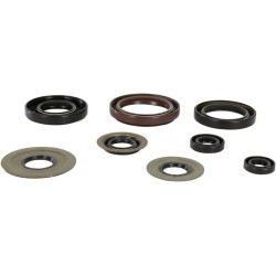 Motor Oil Seals