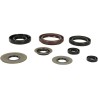 Motor Oil Seals