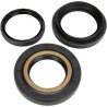 Differential Seal Kit