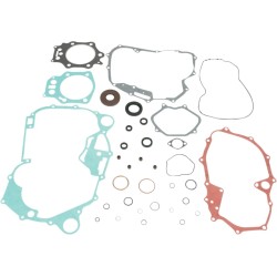 Complete Gasket and Oil Seal Kit
