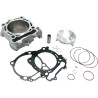 Standard Bore Cylinder Kit for 4 Stroke
