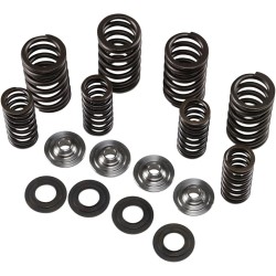Valve Spring Kit