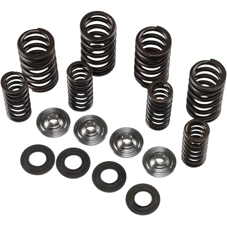 Valve Spring Kit