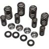 Valve Spring Kit