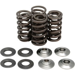 Valve Spring Kit