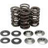 Valve Spring Kit