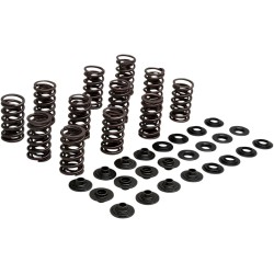 Lightweight Racing Valve Spring Kit