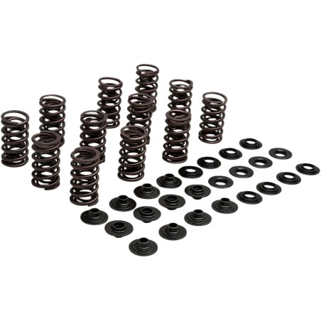 Lightweight Racing Valve Spring Kit