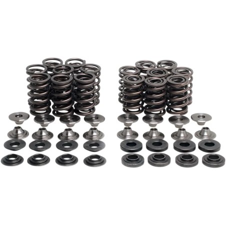 Valve Spring Kit