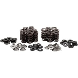 Valve Spring Kit