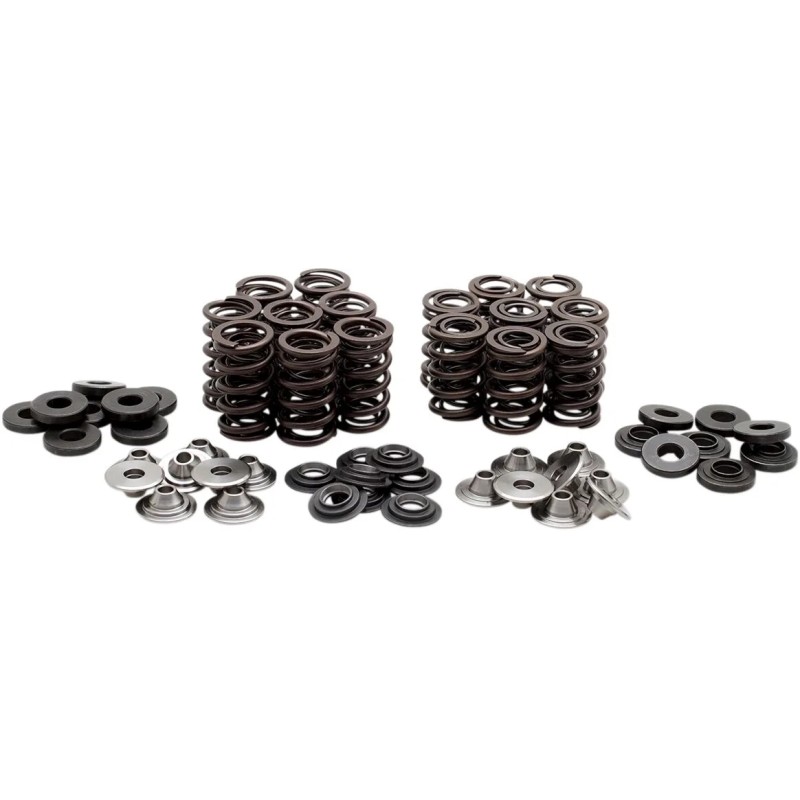 Valve Spring Kit