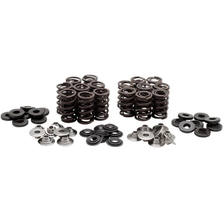 Valve Spring Kit