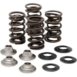 Valve Spring Kit