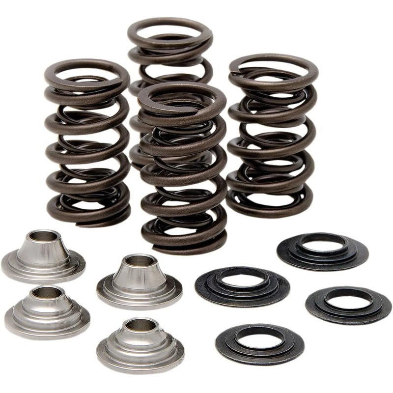 Valve Spring Kit