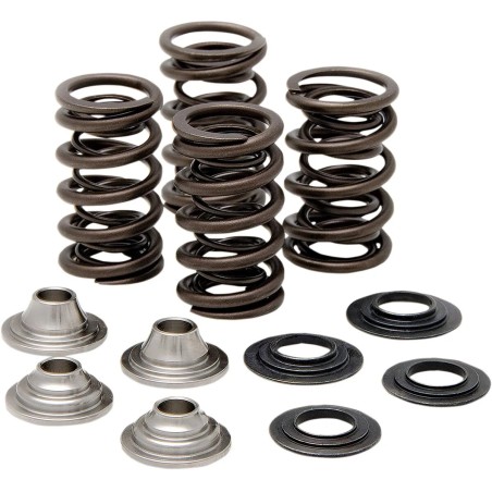 Valve Spring Kit