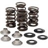 Valve Spring Kit
