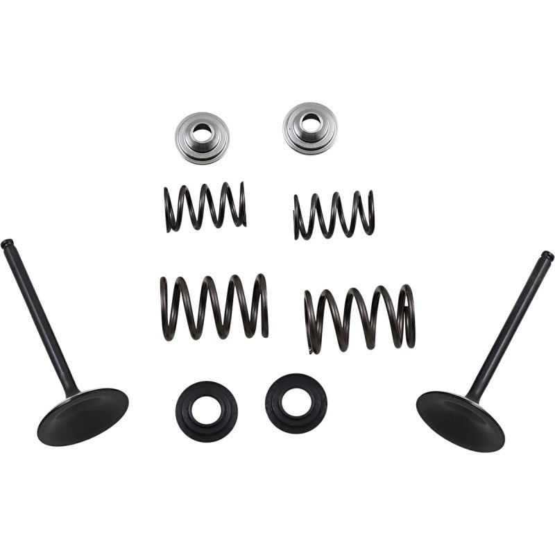 Intake Valve and Spring Kit