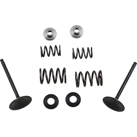 Intake Valve and Spring Kit