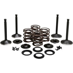 Engine Valve Kit
