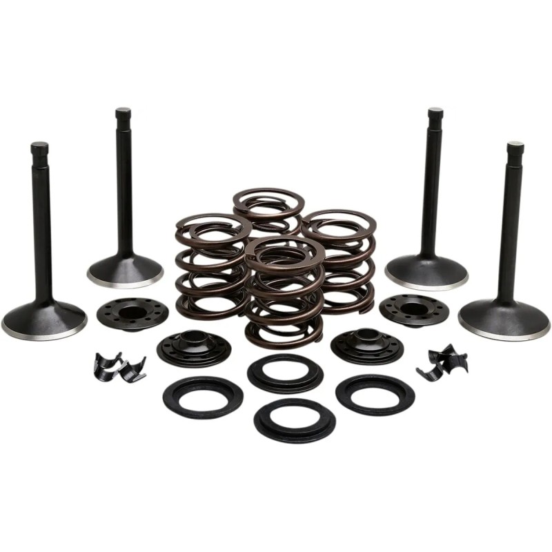 Engine Valve Kit